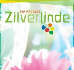 Zilverlinde Zilverlinde
