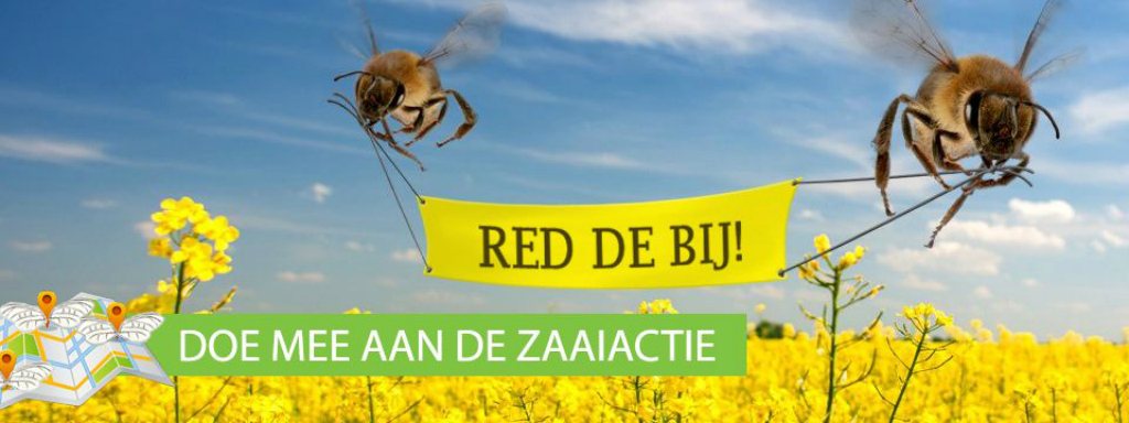 zaaidag