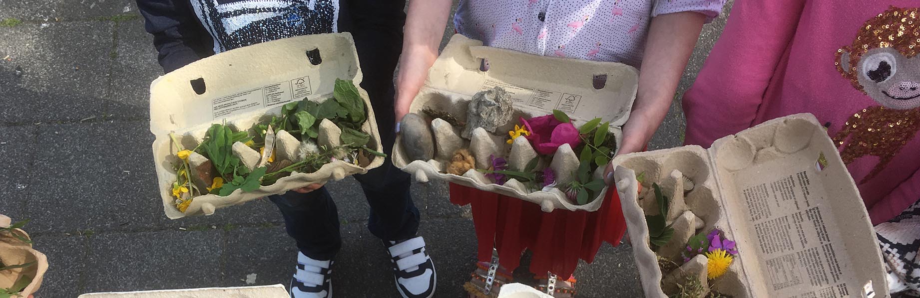 Project de grote plantenjacht